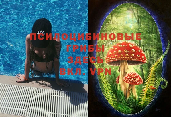 кокс Михайлов