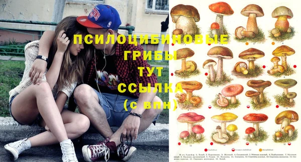 марихуана Медногорск