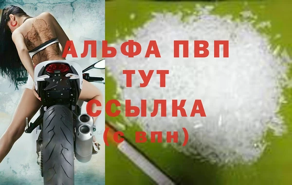 спиды Магас