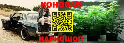 спайс Апрелевка