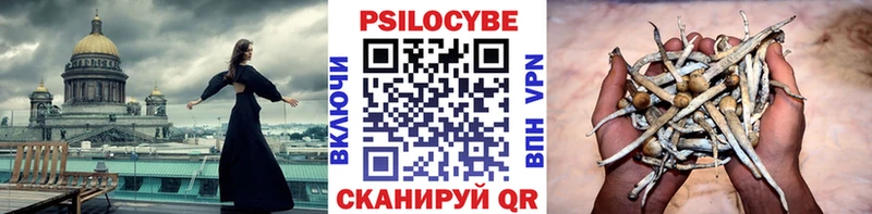 Галлюциногенные грибы Cubensis  Каменск-Шахтинский 