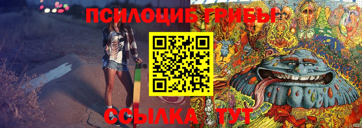 Каменск-Шахтинский  Галлюциногенные грибы GOLDEN TEACHER  Вход с VPN  Галлюциногенные грибы мухоморы 