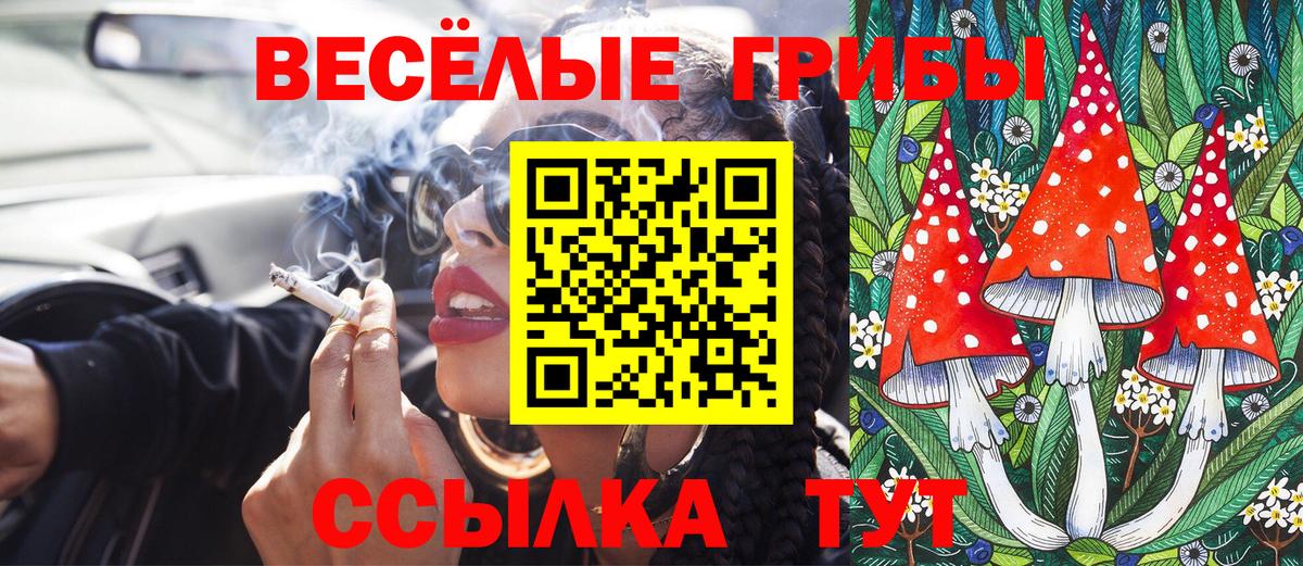 Псилоцибиновые грибы MAGIC MUSHROOMS Каменск-Шахтинский